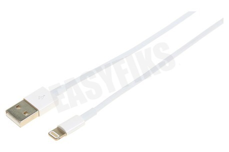 Apple MD819 Apple lightning cable 2 meter