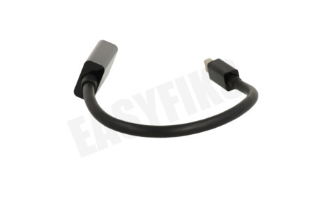 Easyfiks Mini Displayport naar HDMI Adapterkabel 20cm