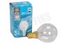 Electrolux Gloeilamp 230V 40W E14