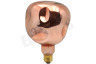 Calex 2101004300 XXL Organic Neo Rose Ledlamp 4W 1800K Dimbaar