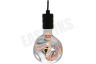 Calex 2101004500 XXL Organic Neo Silver Ledlamp 4W 1800K Dimbaar