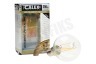 Calex 474482 Calex LED volglas Filament Kogellamp Helder 3,5W 350lm