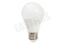 Calex 421736 Calex Satin Crystal LED Standaardlamp 7W 510lm E27 A60