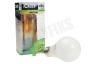 Calex 421736 Calex Satin Crystal LED Standaardlamp 7W 510lm E27 A60