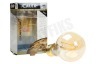 Calex 474504 Calex LED Volglas Filament Standaardlamp 4W 310lm E27