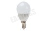 Calex 422112 Calex LED Kogellamp 240V 5W 470lm E14 P45, 2700K