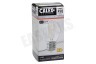 Calex 1101000900 Calex LED Volglas Filament Kogellamp 240V 2W 250lm E27