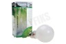Calex 421708 Calex LED Standaardlamp met sensor 8W 710lm E27