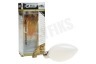 Calex 474491 Calex LED Volglas Filament Kaarslamp 3,5W 290lm E14
