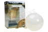Calex 425468 Calex LED volglas Filament Globelamp 6W 650lm E27