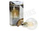 Calex 474510 Calex LED Volglas Filament Standaardlamp 7W 810lm E27