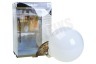 Calex 425486 Calex LED volglas LangFilament Globelamp E27 6W