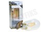 Calex 425496 Calex LED volglas Lang Filament Tube lamp 4W E27