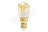 Calex 425000 Calex LED Volglas Filament Schakelbordlamp 1,5W E14