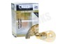 Calex 425000 Calex LED Volglas Filament Schakelbordlamp 1,5W E14
