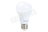Calex Ledlamp LED Zigbee Standaard lamp