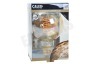 Calex 425779 Calex LED Volglas Flex Filament Globelamp G95