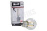 Calex 1101004600 LED volglas Filament Kogellamp Helder 3,5W E27