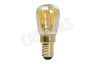 Calex 1101010500 Calex LED Volglas Filament Schakelbordlamp 1,5W E14