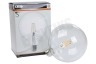 Calex 1101003100 LED volglas Filament Globelamp 4,5W E27