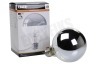 Calex 1101002600 LED Filament Kopspiegel 3,5W E27 GLB95 Dimbaar