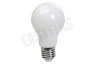 Calex 1101007400 Volglas Filament Standaardlamp Softline 9W E27