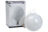 Calex 1101003600 LED volglas LangFilament Softline Globelamp E27 9W