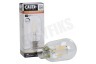 Calex 1101004000 LED volglas Lang Filament Tube lamp 3,5W E27