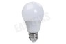 Calex 1301005500 LED Standaardlamp 240V 2,8W E27 A55, 250 lumen