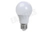 Calex 1301002900 LED Standaardlamp 4,9W E27 A60