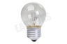 Calex 408802 LED Kogellamp Nostalgic Classic 10W E27