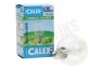 Calex 507780 Calex Spaar Halogeen Kogellamp 230V 42W(56W) E14 P45