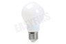 Calex Smart LED Filament Softline Standaardlamp E27 Dimbaar