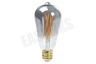 Calex Smart LED Filament Rustic Smokey-lamp E27 Dimbaar