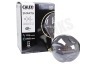 Calex Smart XXL Organic EVO Titanium 6W 120LM 2100K