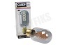 Calex 1001001700 Buis LED lamp Flexible Filament Titanium E27 Dimbaar
