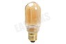 Calex Buis LED lamp Crown Filament SMD E27 Dimbaar