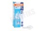 Osram Halogeenlamp Halogeen steek lamp