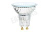 Osram Halogeenlamp Reflector lamp 1 stuk