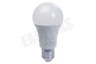 Osram 4058075593138 Parathom Classic A100 Mat E27 13W