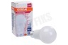 Osram 4058075593138 Parathom Classic A100 Mat E27 13W