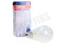 Osram 4052899962125 Parathom Retrofit Classic ST E27 2W