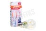 Osram 4058075616912 Parathom Special koelkastlamp T26 2.2W E14