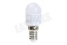 Osram 4052899961302 Parathom Special koelkastlamp T26 2.3W E14 Mat