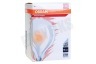 Osram 4052899959231 Parathom Retrofit Classic Globe Mat 60 E27 7W