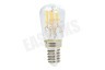 Osram 4058075616875 Parathom Special koelkastlamp T26 2,8W E14