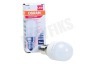 Osram 4058075620254 Parathom Special koelkastlamp T26 2.3W E14