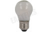 Osram LED Retrofit Classic P25 E27 2,5W Mat