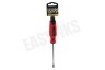 Benson Schroevendraaier PZ1x100mm