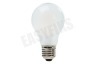 Pharox Pharox LED Standaardlamp Mat E27 4W 360Lm 2700K